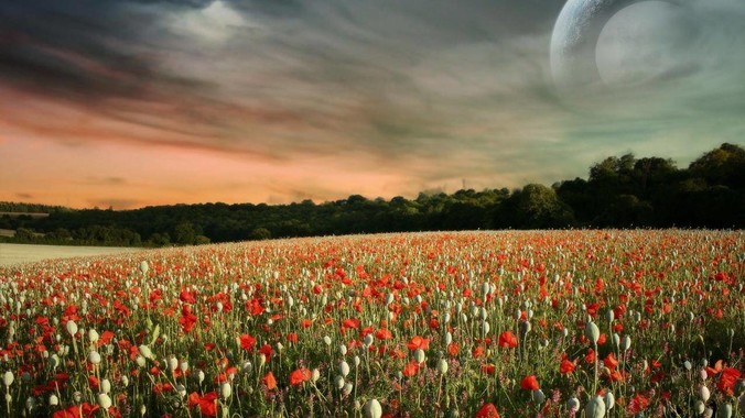 目前美军还有哪些领域是明显领先于解放军的？